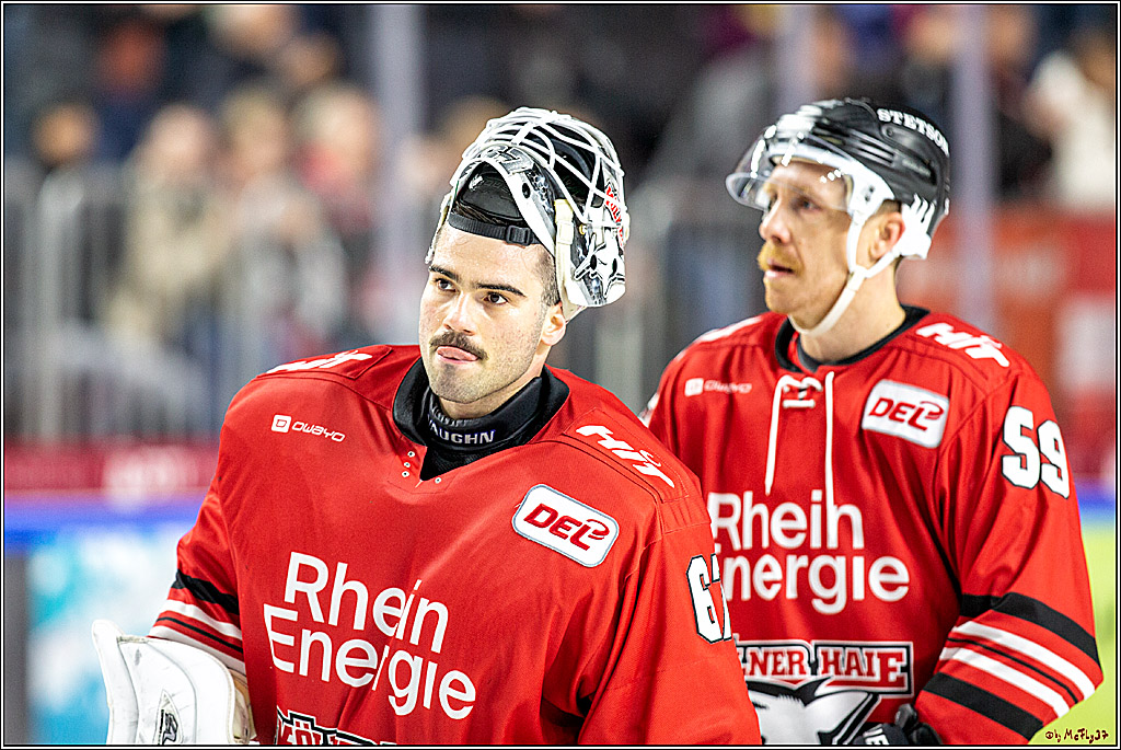 DEL; Koelner Haie - Straubing Tigers; Koeln, 17.11.2019